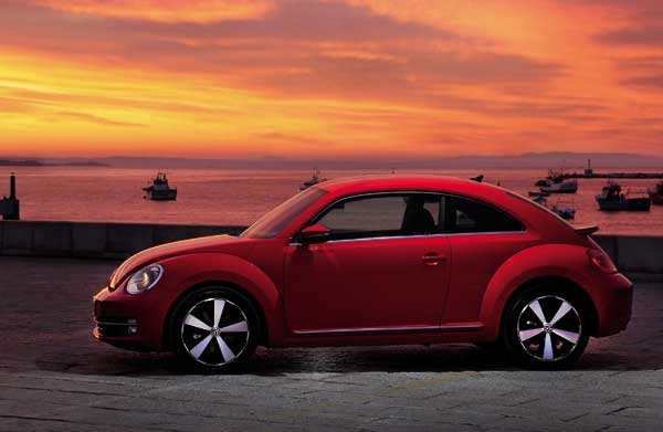 beetle1