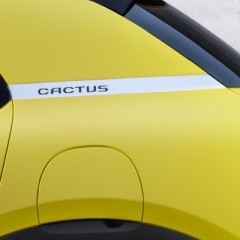 Ruth Scott drives the Citroën C4 Cactus