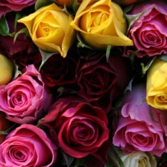 Win a beautiful bouquet of summer flowers