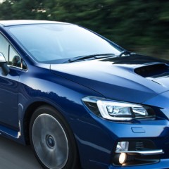 Subaru Levorg – A dog owners dream car?