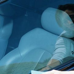 WIN Armor All Shield Wax for the perfect shine