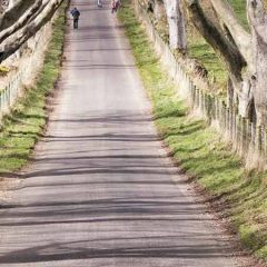 WIN Three copies of DRIVE IRELAND