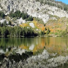 How To Prepare Your 4×4 door Off-Roading in Mammoth