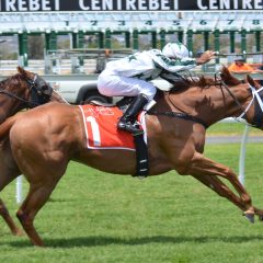 The evolution of horse racing in Ireland: From tradition to online betting sites