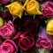Win a beautiful bouquet of summer flowers