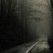 6 Spooky Road Trips