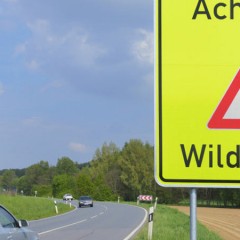 Tips for self-driving in Europe