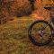 E-bikes: yay or nay?