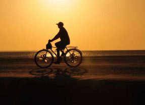 Cycling in a Heatwave: 7 Essential Tips to Stay Safe on Your Bike This Summer